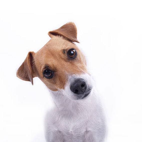 Dostlarımızdan Fotoğraflar